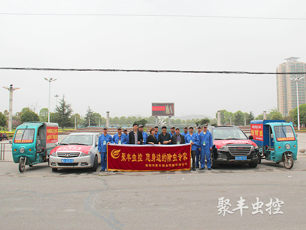 團隊成員12