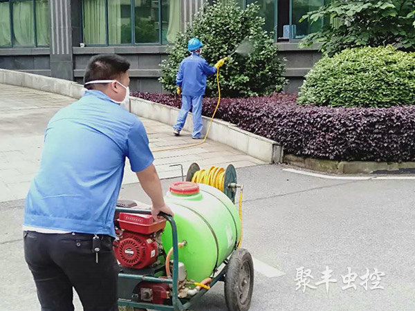 衛建委滅蚊蠅消殺
